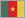 flag_cameroon